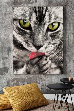 Pati yalayan kedi Soyut Kanvas Canvas Tablo Dekoratif Tablolar
